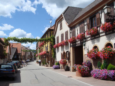 Alsace, la Route des Vins