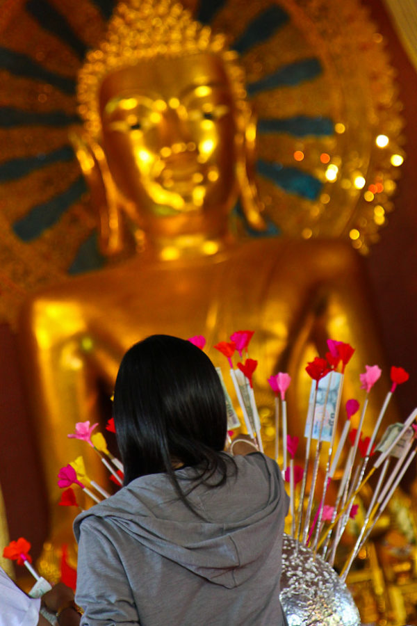 Chiang Mai - Money for Buddha