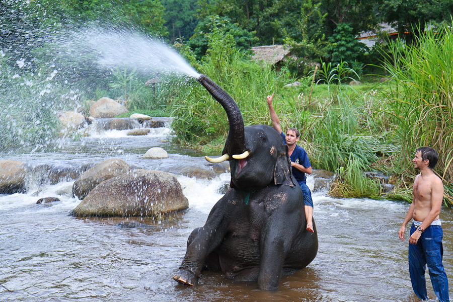 Playing with Elephants III