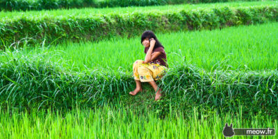 Rice Field Modern Girl