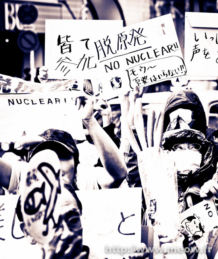 Yasai Demo - No Nuclear
