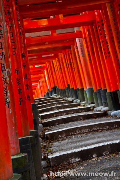 Kyoto - 4000 torii