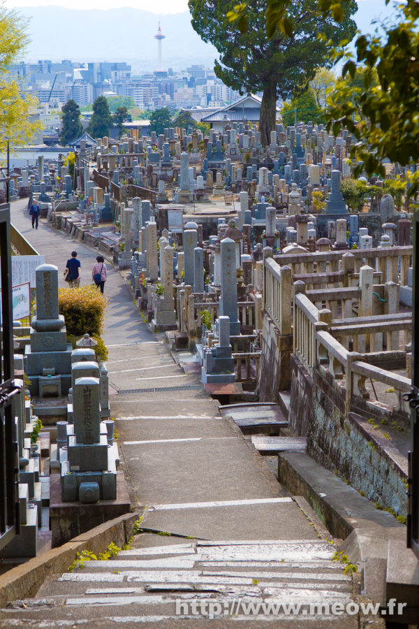 Kyoto - Cemetery