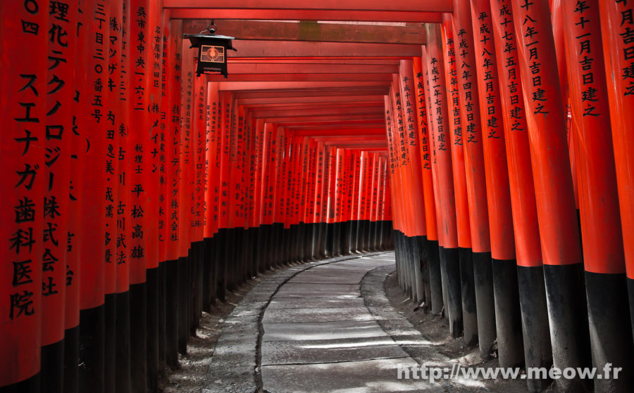 Kyoto - Fushimi Inari Taisha's torii