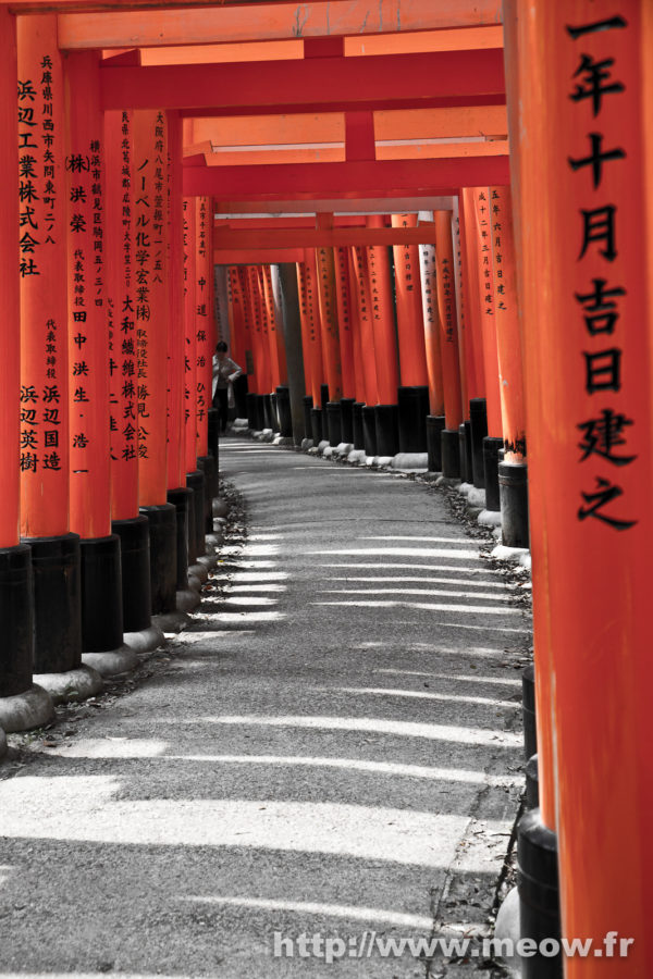Kyoto - Mata Inari