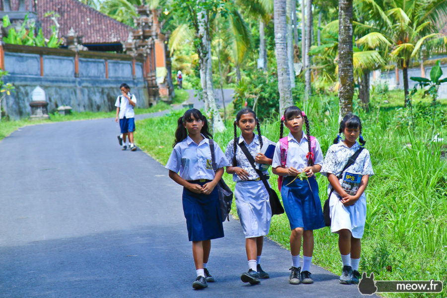 Balinese School Girls
