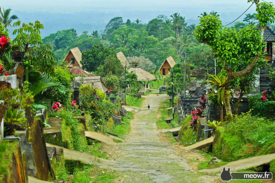 Balinese Village